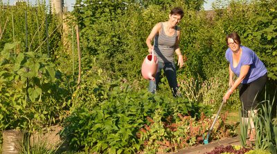bild_gemeinschaftsgarten-1024x571.jpg